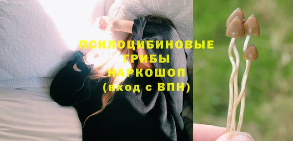 гашик Хадыженск