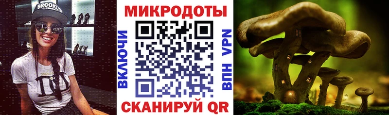 Галлюциногенные грибы мицелий Сыктывкар